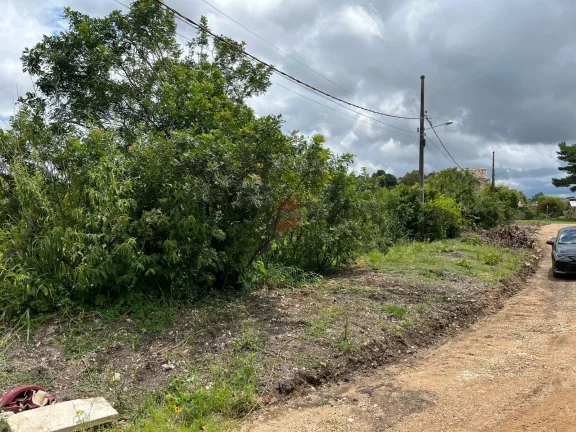 Imagem ÁREA à venda com 3363.3m² por R$ 1.400.000,00 no bairro Canguiri - COLOMBO / PR