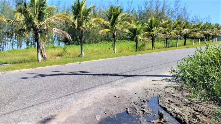 Imagem Terreno à venda na Ilha Comprida-SP