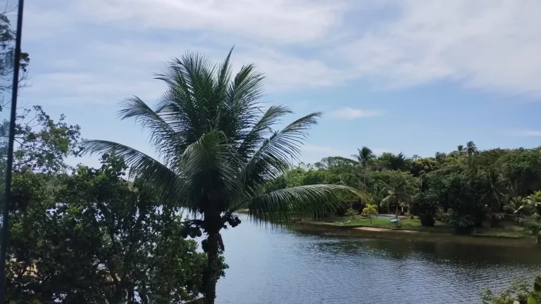 Imagem Casa à venda em Lagoa do Aruá, Mata de São João - Loteamento Quinta do Castelo da Torre