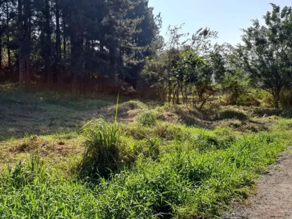 Imagem Fazendinha - LOTE 1.420,00 m², plano e sem árvores grande porte!