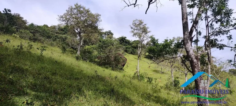 Imagem Refúgio Encantador: Sua Propriedade Rural de Sonho em Minas Gerais.