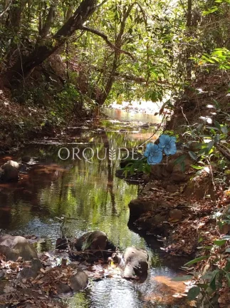 Fazenda à venda na Área Rural de Rio Verde-GO