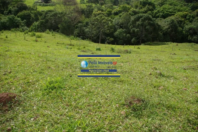 Imagem Sítio 14 alqueires com estrutura, casa, água e energia, R$ 90.000,00 valor do alqueire - Jacuí - Minas Gerais
