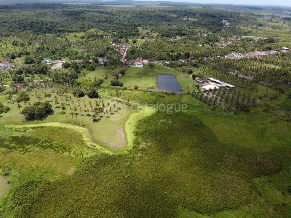 Imagem ÁREA Á VENDA EM NISIA FLORESTA