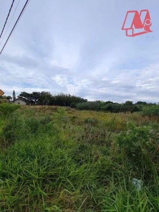 Imagem 11.000 m² em Osório