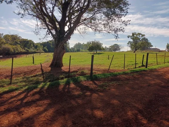 Imagem FAZENDA AVARÉ-SP