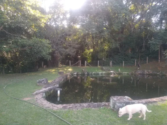 Imagem Sítio para Venda em Tuiuti, Rural, 3 dormitórios, 1 suíte, 4 banheiros, 10 vagas