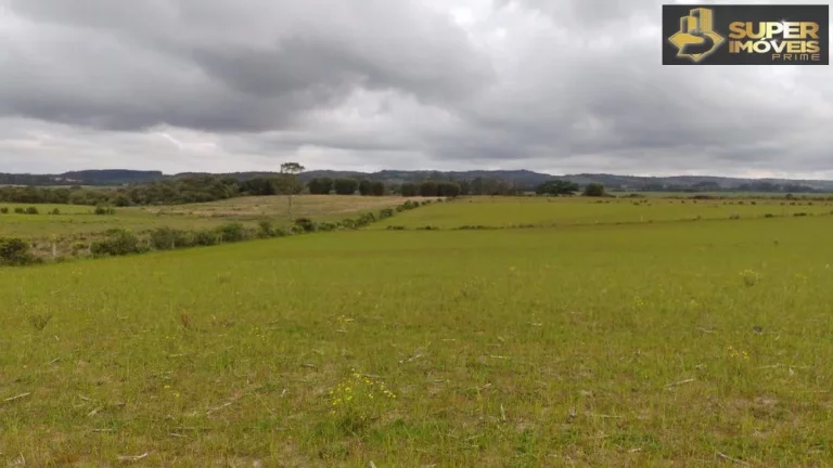 Imagem Fazenda Espetacular no Capão do Leão-RS próximo de Pelotas