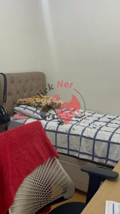 Imagem Apartamento com 3 dormitórios à venda na Avenida Dom Jaime no bairro Planalto, São Bernardo do Campo - Aceita casa ou sobrado de maior valor