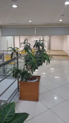 Imagem Salão para alugar, 45 m² por R$ 13.068,00/mês - Centro - Itaquaquecetuba/SP