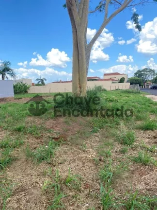 Imagem Terreno / Padrão na cidade de Birigui