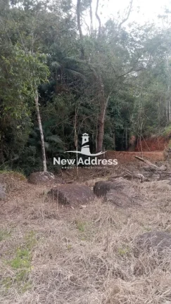 Imagem Terreno com 11.500 m², Platô Pronto, Lago e Nascente à Venda em Domingos Martins