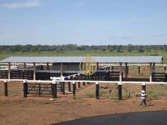 Imagem Fazenda em São Miguel do Araguaia à venda, - Centro - São Miguel do Araguaia/GO