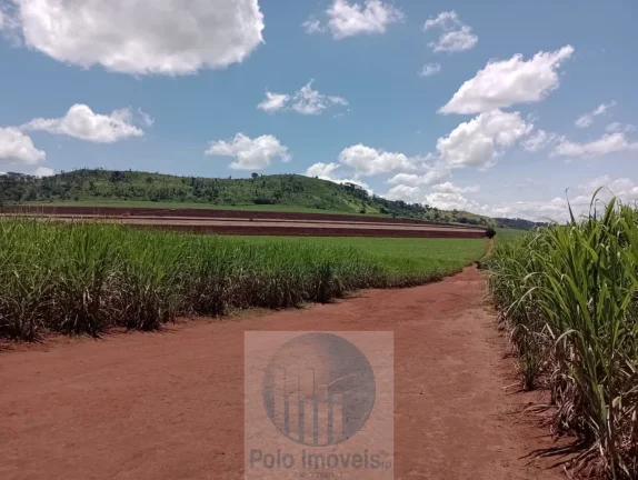 Imagem Fazenda Palmira 773 alqueires, a 60 km de Ribeirão Preto - SP, estrutura, cana e muita água - Serra Azul - SP - Brasil