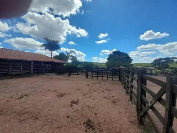 Imagem Fazenda à venda em Ibertioga, ZONA RURAL, 148ha