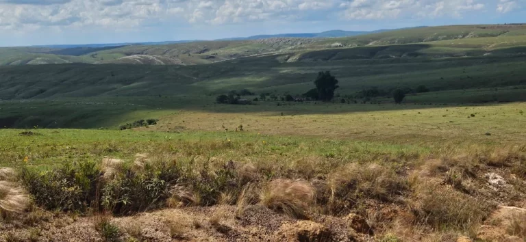 Imagem FAZENDA À VENDA EM DELFINÓPOLIS - MG COM 430 ALQUEIRES