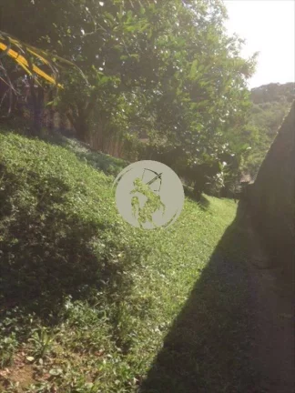 Imagem JARDIM COM POMAR: ACEROLA, AMEIXA, JABUTICABA, AMORA, LIMÃO, LARANJA, GOIABA, PITANGA, MEXERICA ETC...