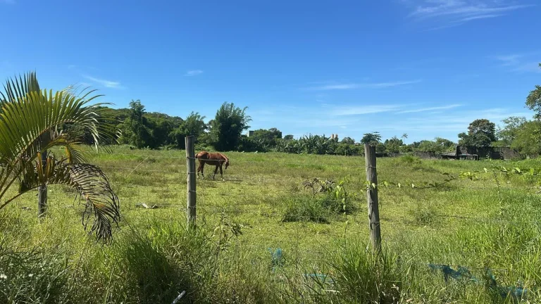 Imagem Terreno para Venda em Itanhaém, Sabauna