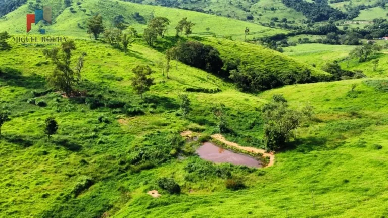 Imagem Fazenda região de Itapira SP