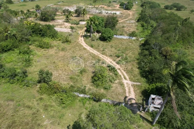 Imagem Terreno à venda no bairro Nova Esperança em Parnamirim