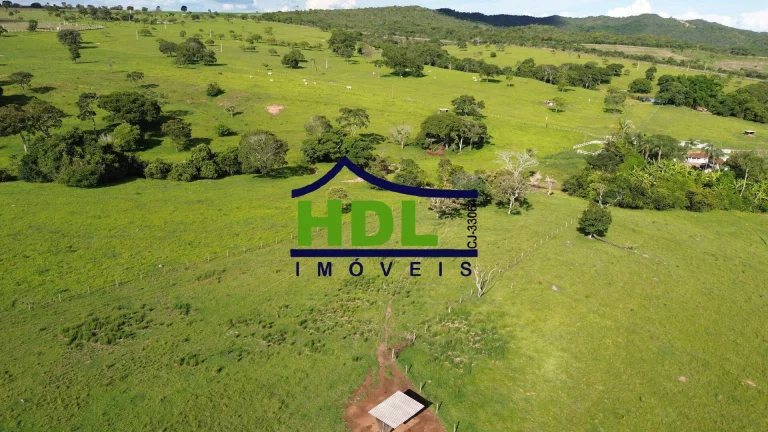 Imagem Fazenda de 1ª com 155 Hectares prox. à Goiânia.