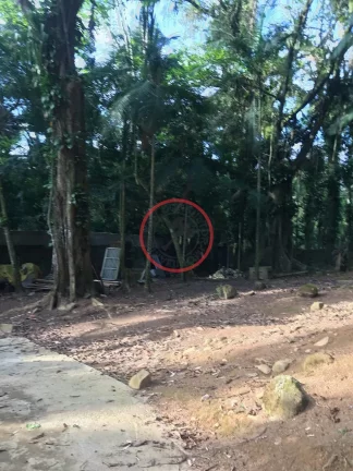 Imagem Casa estilo kitnet em terreno amplo 3000 metros na beira rio