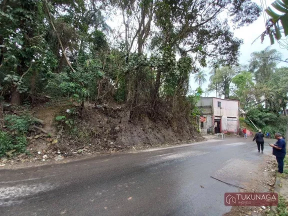 Imagem Terreno à venda, 9000 m² por R$ 8.000.000,00 - Três Cruzes - São Paulo/SP