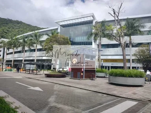 Imagem Loja para alugar no bairro Saco Grande - Florianópolis/SC
