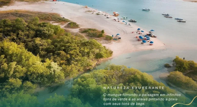 Imagem Casa Padrão