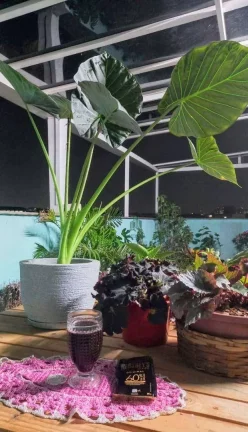 Imagem Apartamento com 3 dormitórios à venda, 105 m² por R$ 297.000,00 - Cidade Parque Alvorada - Guarulhos/SP