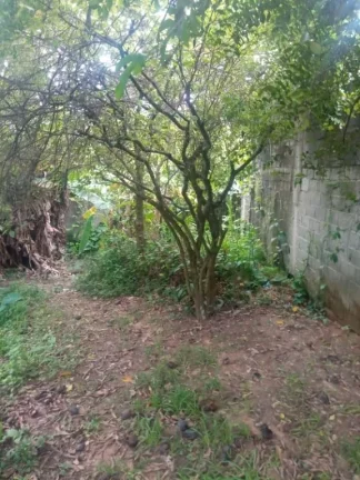 Imagem Terreno para alugar, 350 m² por R$ 2.000,00/mês - Vila do Americano - Ferraz de Vasconcelos/SP