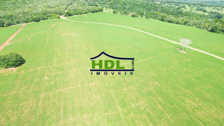 Imagem Fazenda 32 Alqs na Soja em Hidrolândia/GO