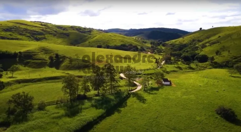 Imagem Fazenda de 1067 alqueires à venda em Santa Branca com 180 nascentes