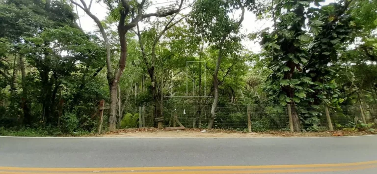 Imagem Terreno para Venda em Florianópolis / SC no bairro Vargem Grande