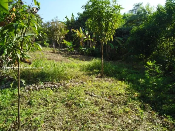 Imagem Casa para Venda em Limeira, Vila Queiroz, 3 dormitórios, 3 banheiros, 2 vagas