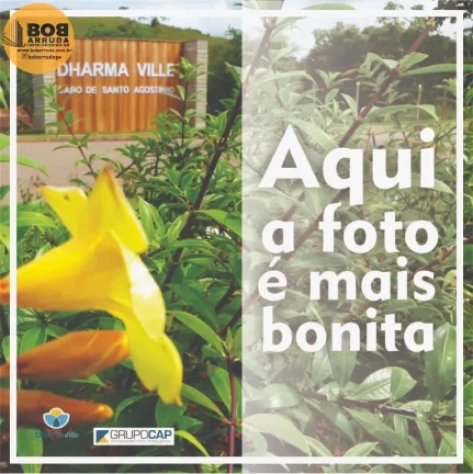 Imagem Terreno Padrão