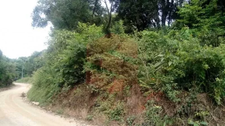 Imagem Chácara à venda em Campo Largo/PR