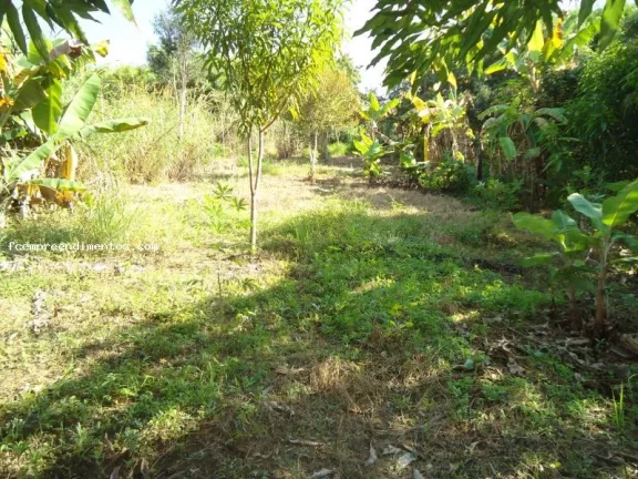 Imagem Casa para Venda em Limeira, Vila Queiroz, 3 dormitórios, 3 banheiros, 2 vagas