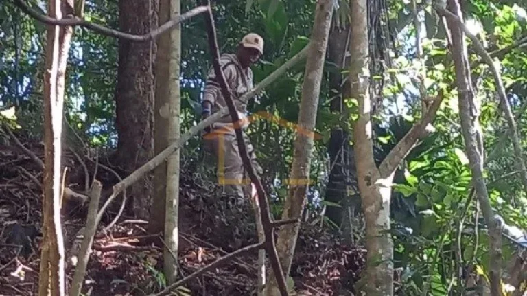 Imagem Área verde para preservação - Lote 30, Quadra J - Mairiporã/SP

Área total do terreno: 1.180,40...