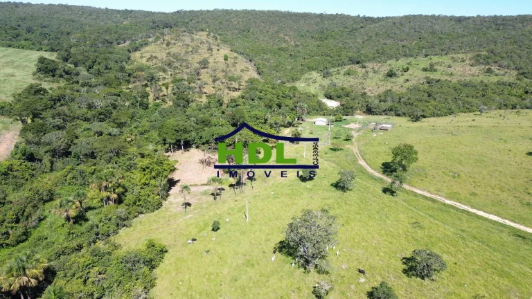 Imagem Fazenda para cria em Silvania/GO