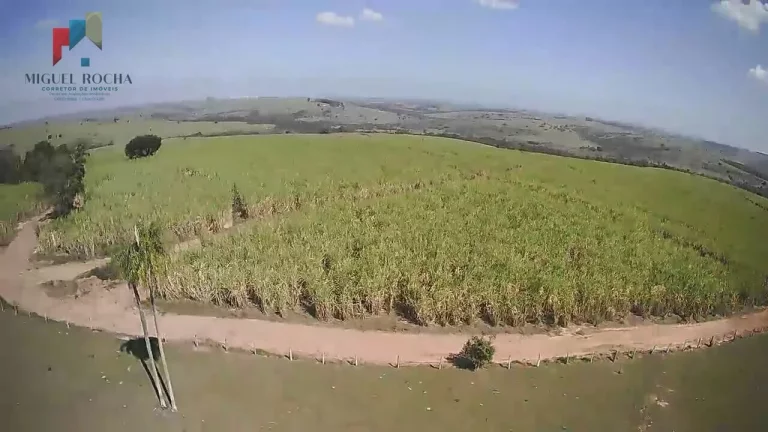 Imagem Fazenda a venda Região de Conchas SP