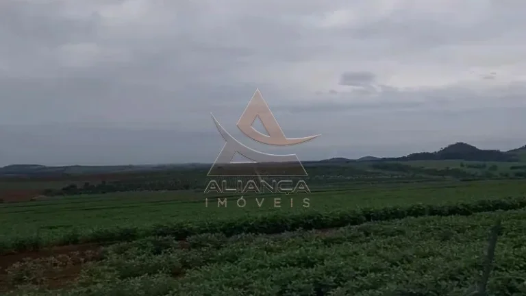 Imagem Fazenda - Casa Branca - Zona Rural