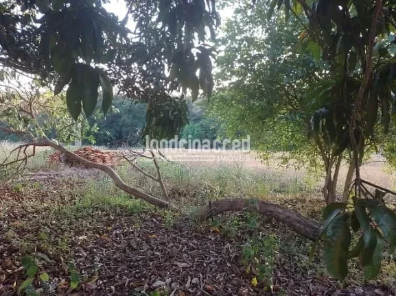 Imagem Vendo Terreno de 40.000m² Próximo a Ibiporã – Ótimo para Investimento, Loteamento, Agricultura ou Chácaras! Duas Escrituras! Agende uma Visita!