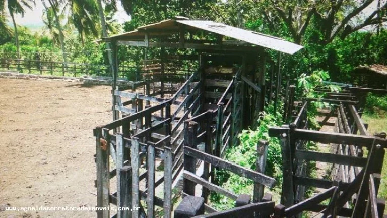 Imagem Fazenda para Venda em Extremoz, capim -extremoz, 3 dormitórios, 1 suíte, 2 banheiros, 6 vagas