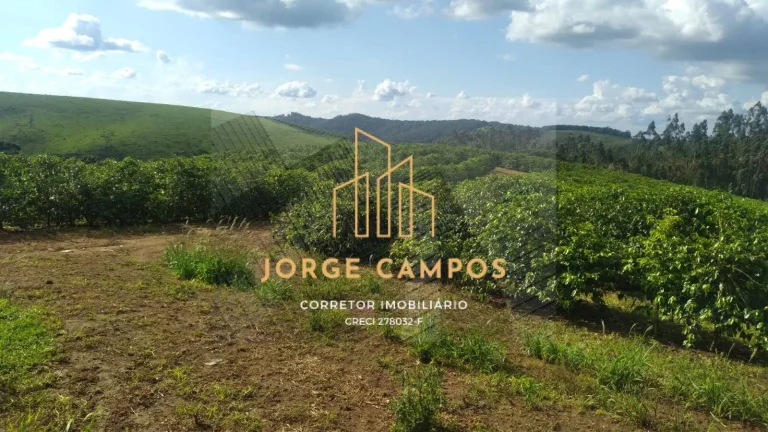Imagem FA-25259 - FAZENDA À VENDA SUL DE MINAS GERAIS