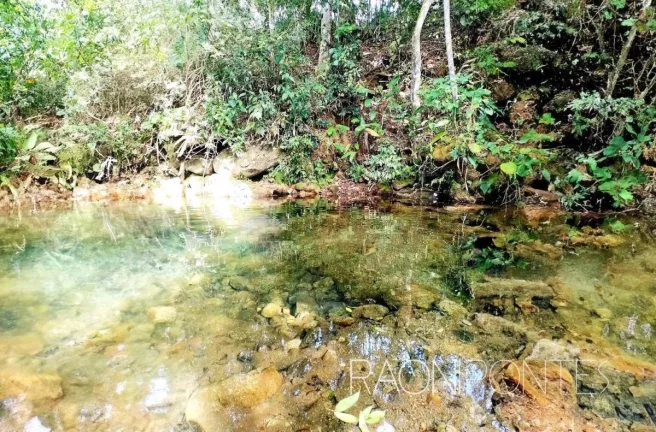 Imagem Fazenda à Venda, 70.000 m² em Sodrelândia - Trajano De Morais