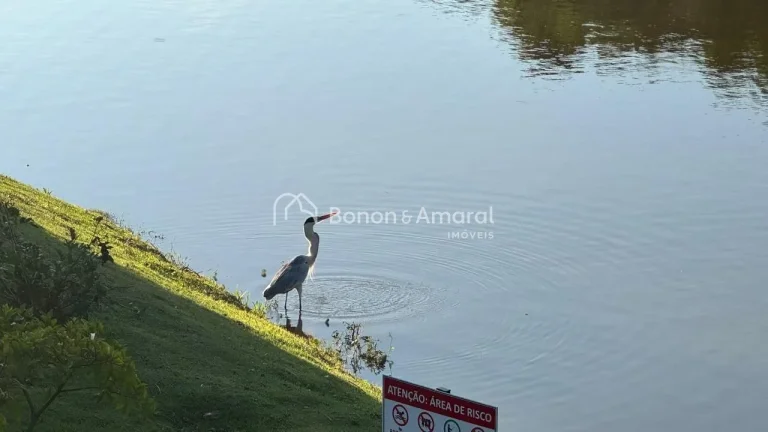 Imagem Terreno à venda no Condomínio Residencial das Acácias - Paulínia/SP 

Oportunidade imperdível! ...