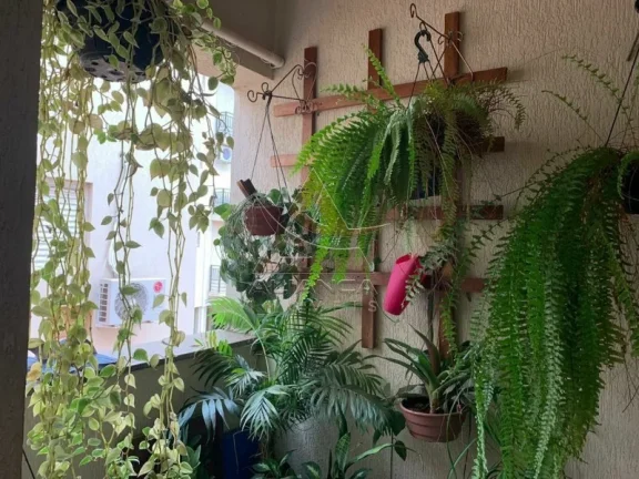 Imagem Apartamento - Ribeirão Preto - Jardim Zara