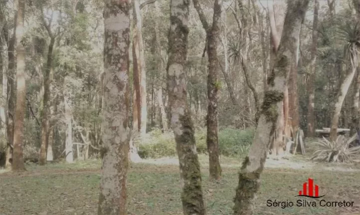 Imagem Chácara Para Venda Com 45.000,00 m², em Santo Antônio do Pinhal.