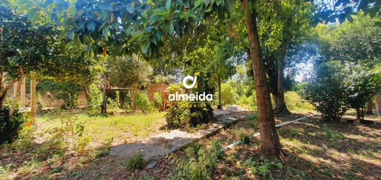 Imagem Terreno à venda Tomazetti Santa Maria/RS